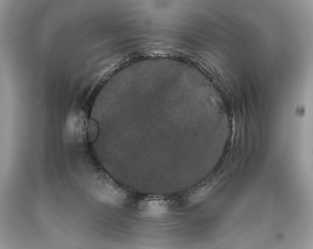 X0000093460228200710261027