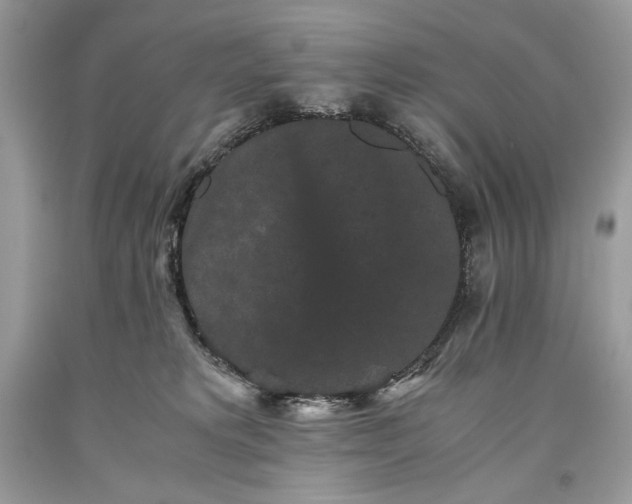 X0000093460229200710261027