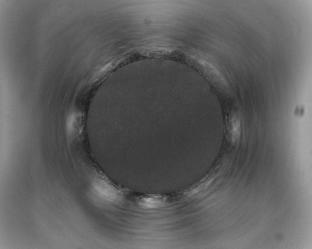 X0000093460232200710261027