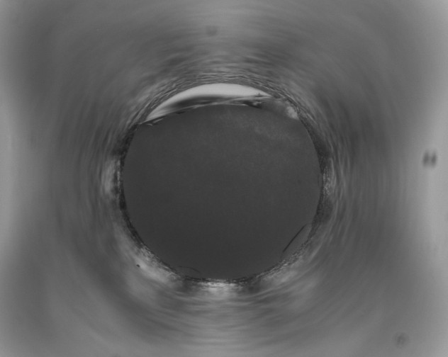 X0000093460233200710261027