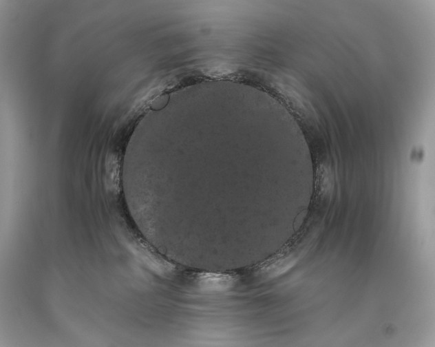 X0000093460234200710261027