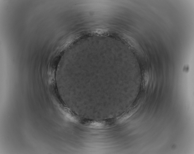 X0000093460236200710261027