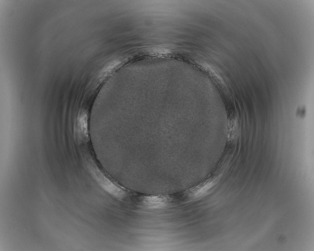 X0000093460238200710261027