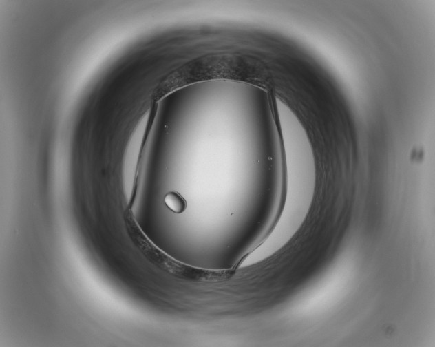 X0000093460239200710261027