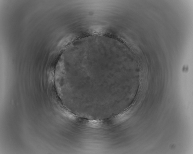 X0000093460240200710261027