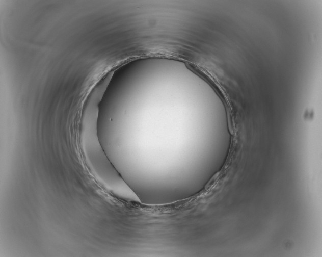 X0000093460241200710261026