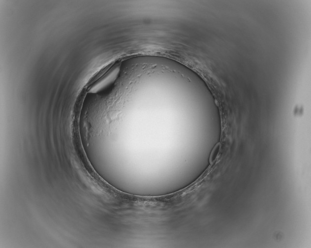 X0000093460242200710261026