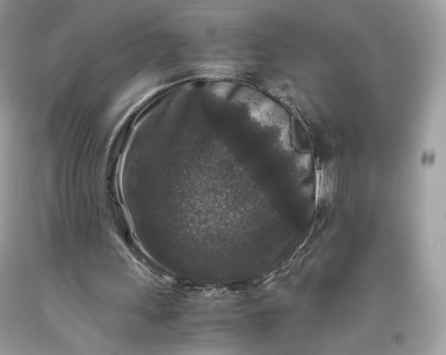 X0000093460243200710261026