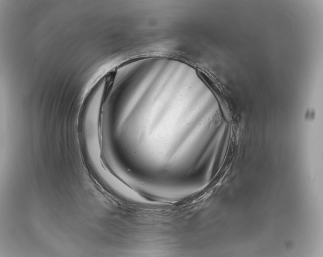 X0000093460244200710261027