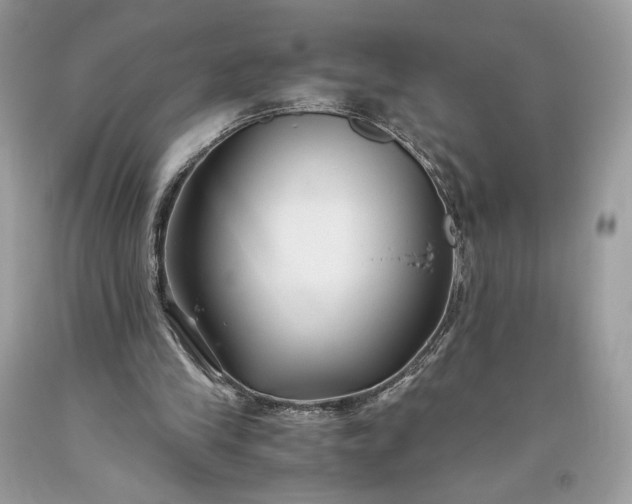 X0000093460245200710261027