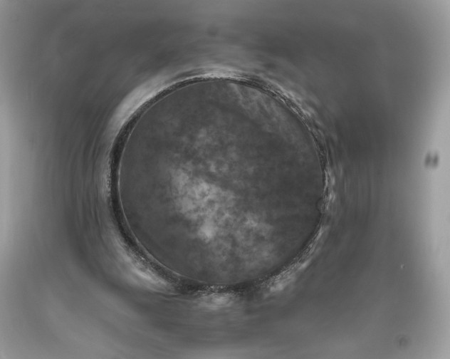 X0000093460247200710261027