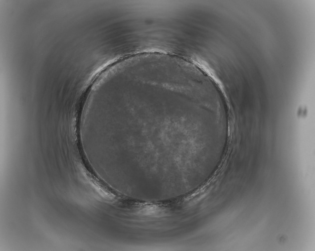 X0000093460249200710261027