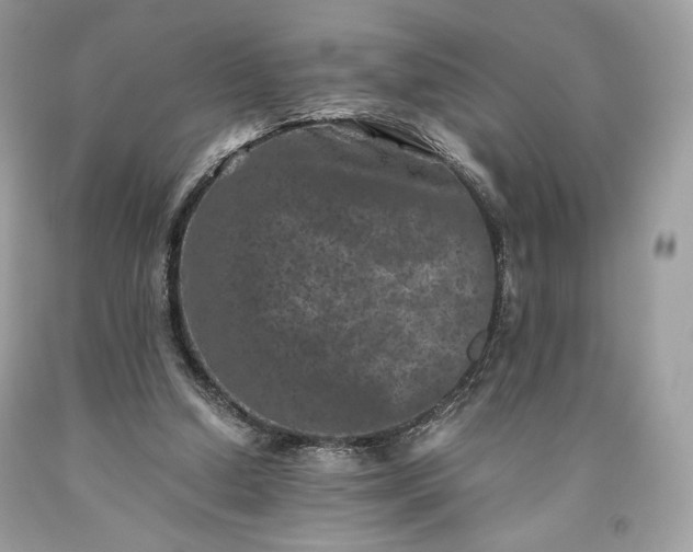 X0000093460250200710261027