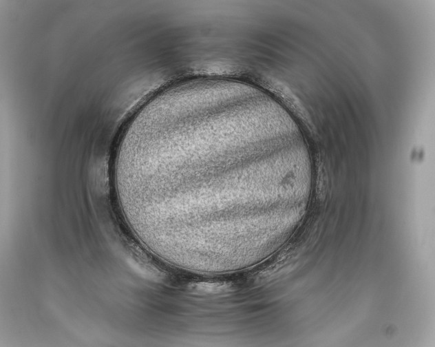 X0000093460251200710261027