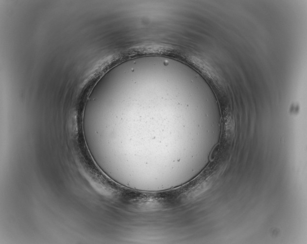 X0000093460254200710261027