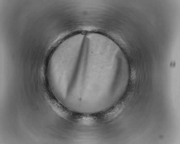 X0000093460256200710261027