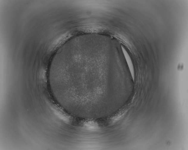 X0000093460258200710261027