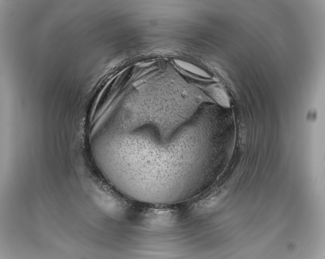 X0000093460260200710261027