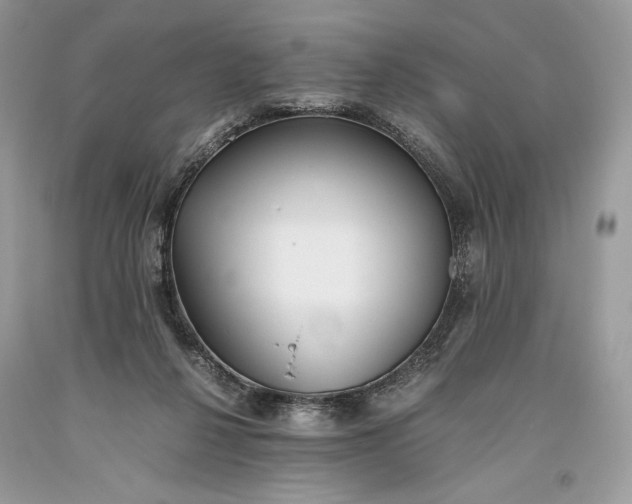 X0000093460264200710261027