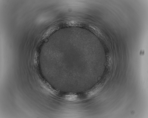 X0000093460266200710261027