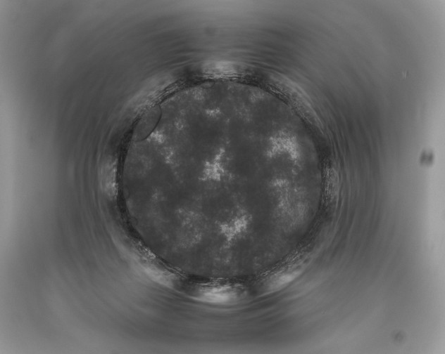 X0000093460267200710261027