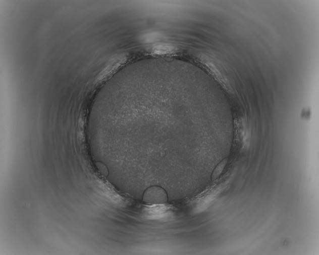 X0000093460269200710261027