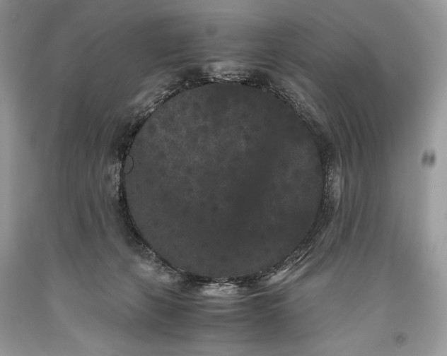 X0000093460271200710261027