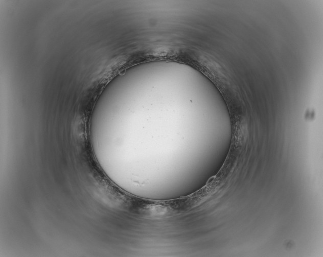 X0000093460272200710261027