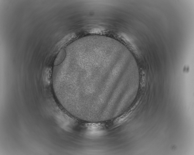 X0000093460273200710261027