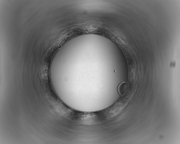 X0000093460274200710261027