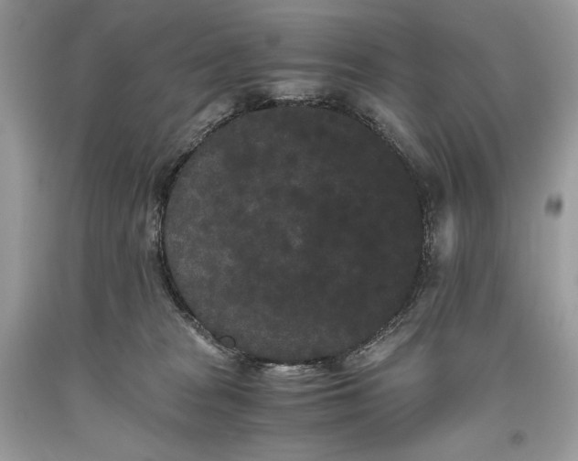 X0000093460277200710261027