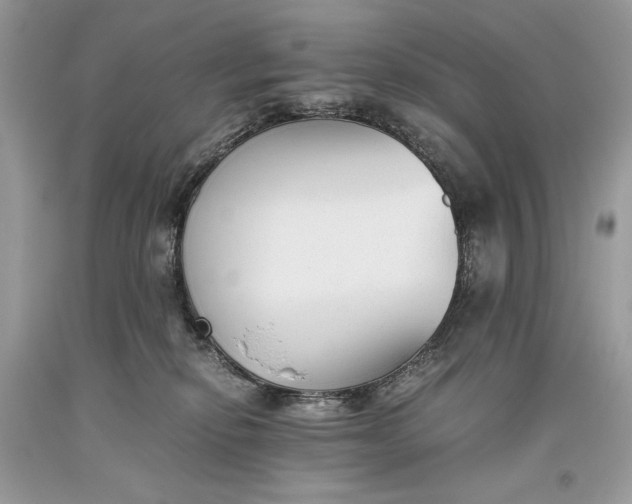 X0000093460278200710261027