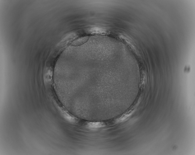 X0000093460281200710261027