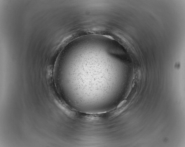 X0000093460284200710261027