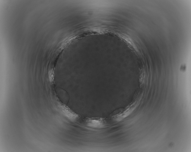 X0000093460285200710261027