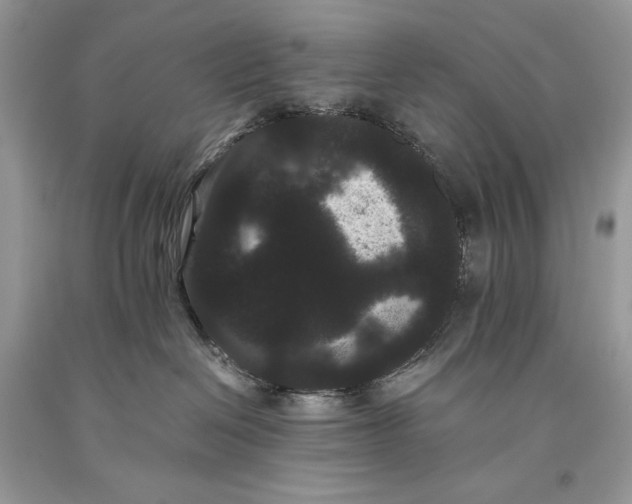 X0000093460286200710261027