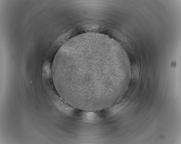 X0000093460287200710261027