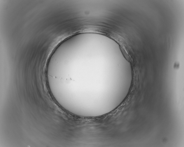 X0000093460289200710261026