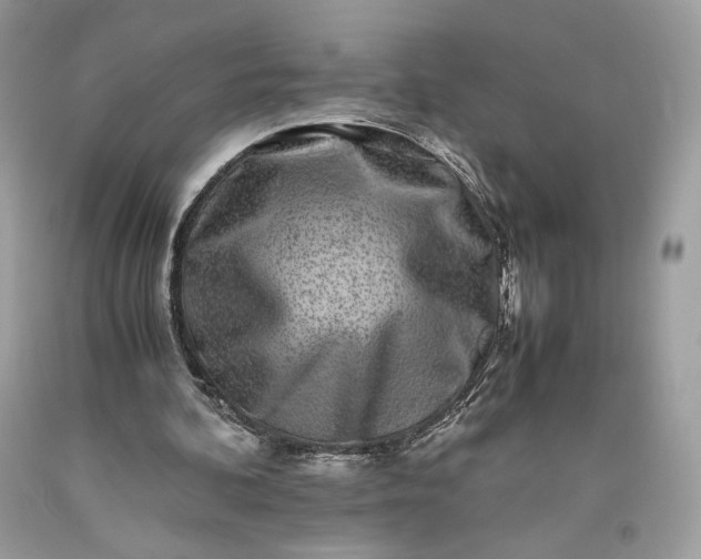 X0000093460292200710261026