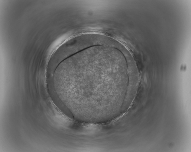 X0000093460293200710261026