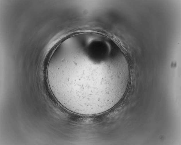 X0000093460295200710261026