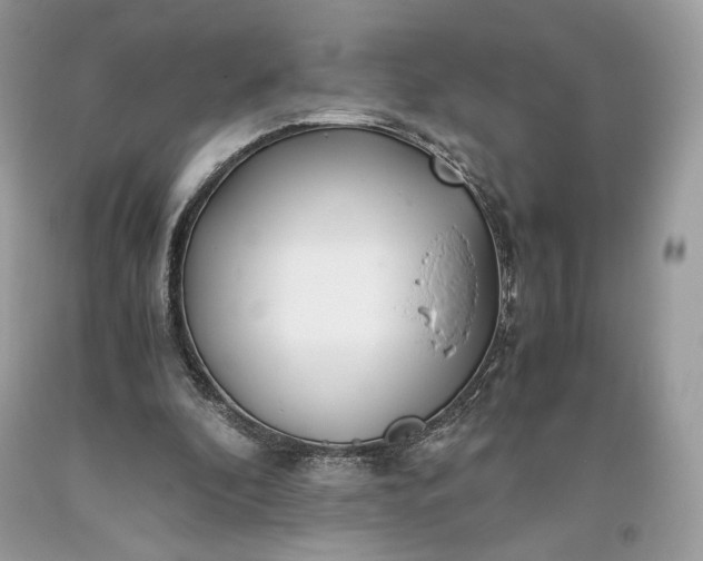 X0000093460296200710261026