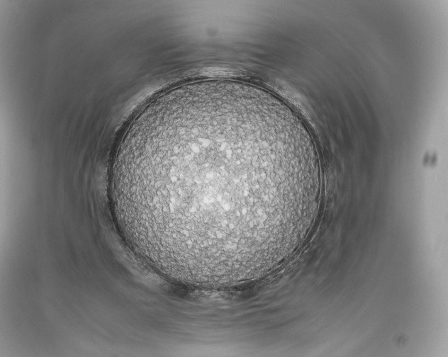 X0000093460297200710261026