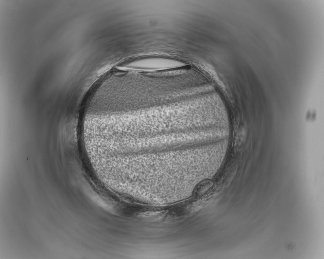 X0000093460299200710261026