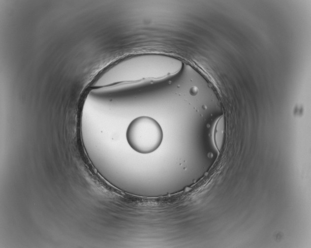 X0000093460301200710261026