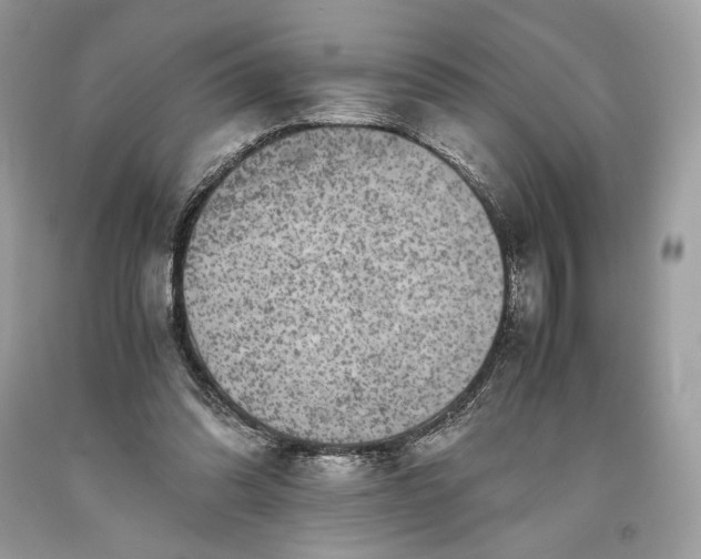 X0000093460302200710261026