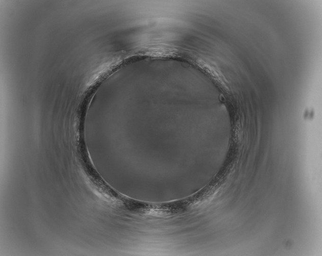 X0000093460303200710261026