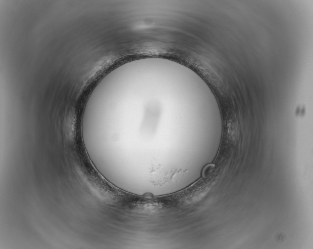 X0000093460304200710261026