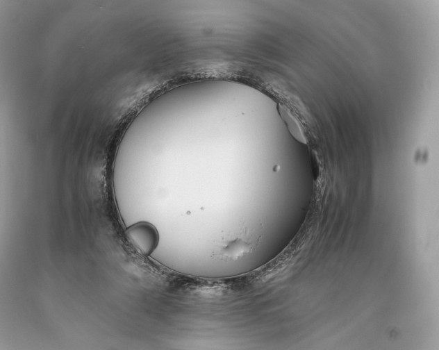 X0000093460306200710261026