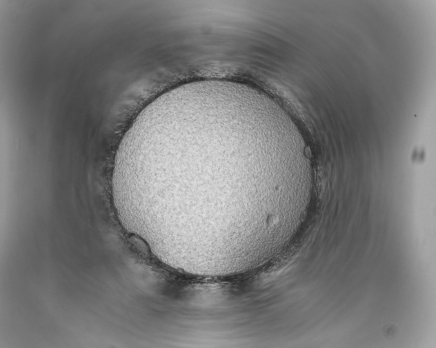 X0000093460307200710261026